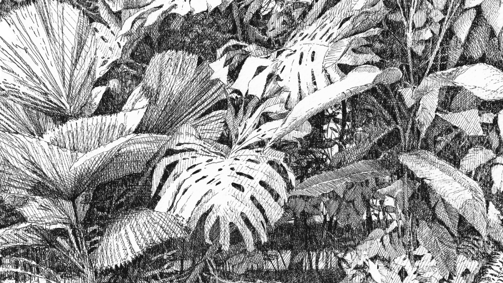 monstera