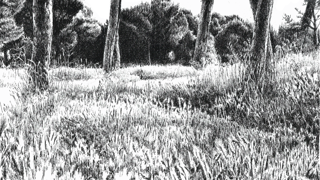 primavera